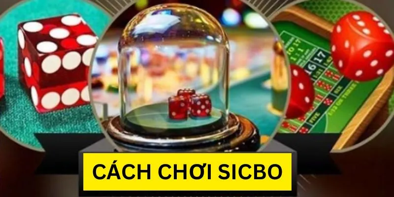 Cách Chơi Sicbo Fun88 - Hướng Dẫn Cho Người Mới Bắt Đầu