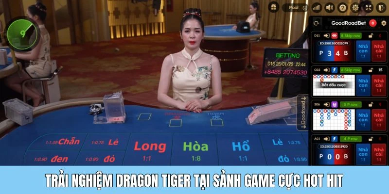 Trải nghiệm dragon tiger tại sảnh game cực hot hit