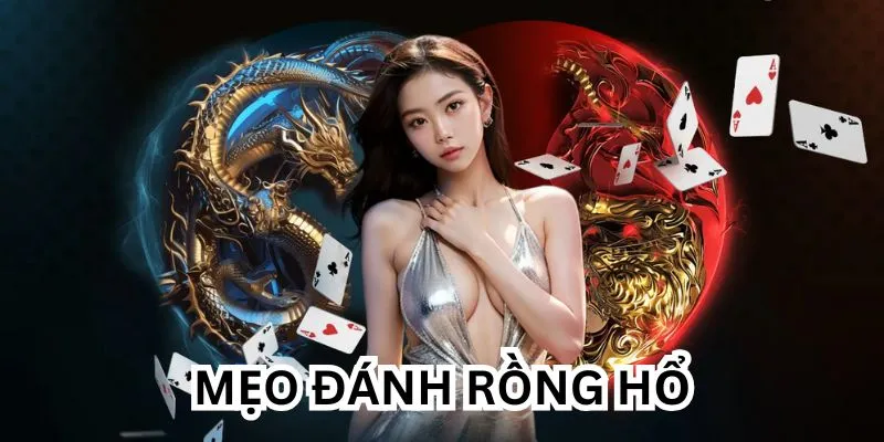 meo danh rong ho