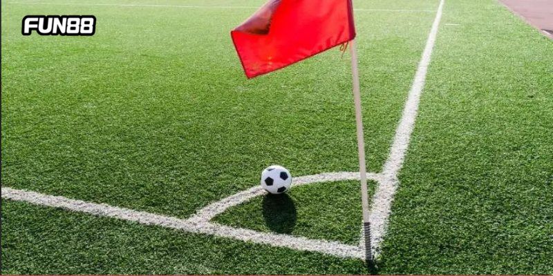 cach bat keo hieu qua Cách bắt kèo hiệu quả